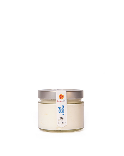 Yogurt alla Greca Bio 250 gr