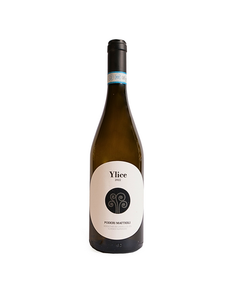 Ylice 2022 - Verdicchio