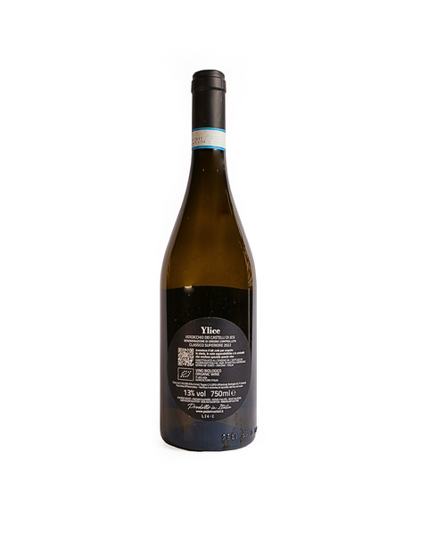 Ylice 2022 - Verdicchio