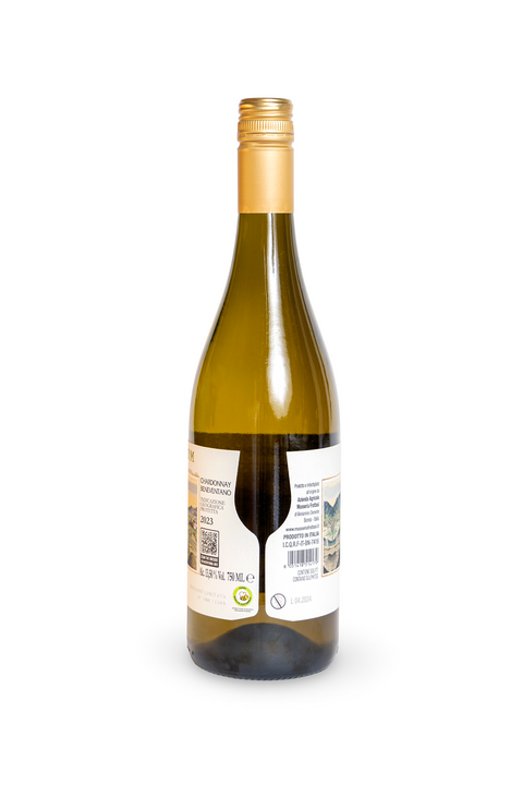 Chardonnay 2023