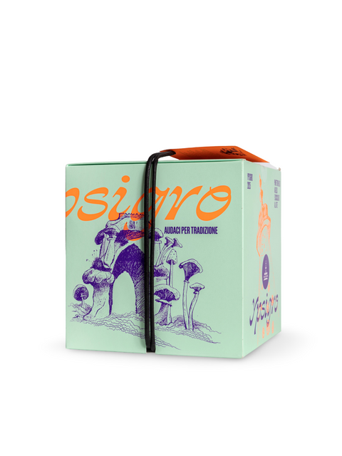 Ypsigro Panettone ai Gelsi e Cioccolato al Latte 750 gr