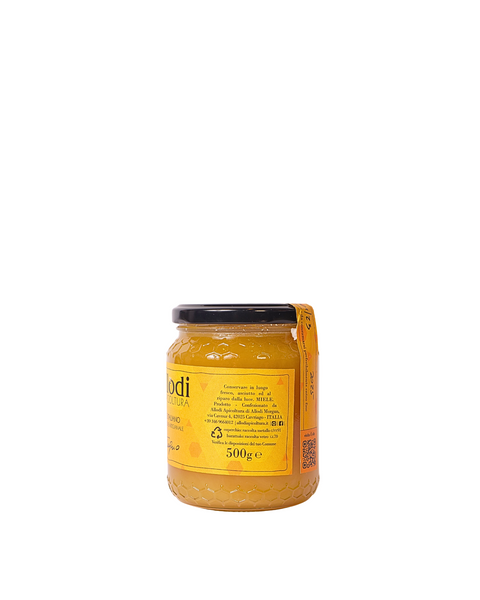 Chestnut Honey 500 gr