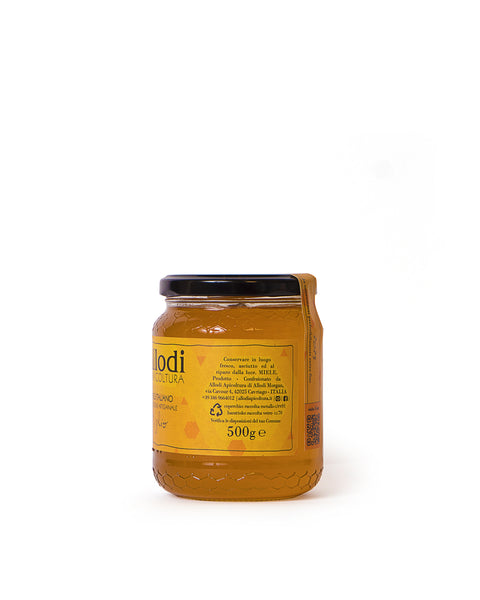 Linden honey 500 gr